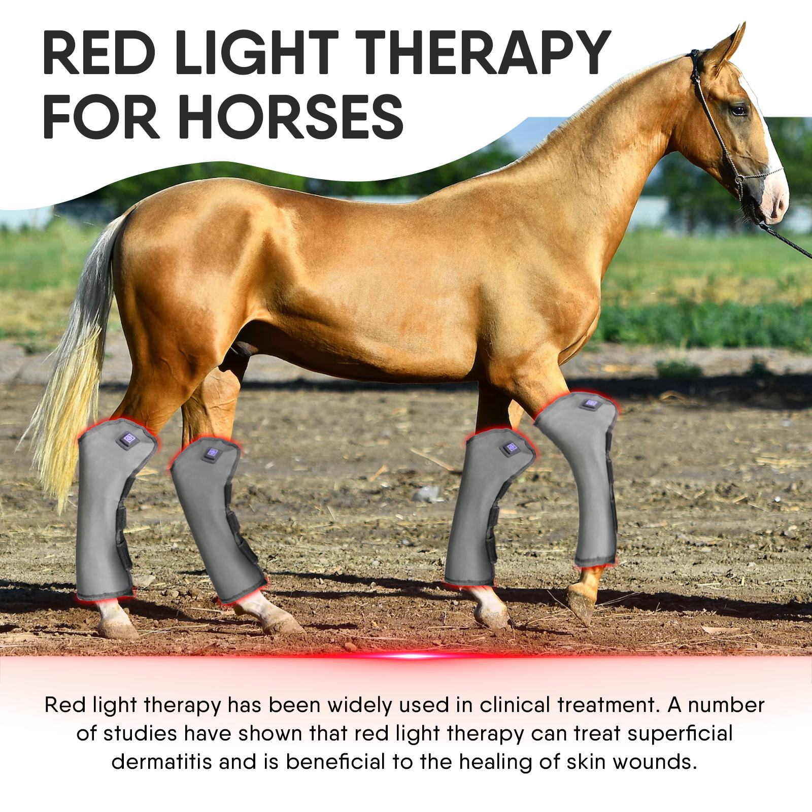 AQSHE Equine 5 Wave Horse Infra Red Light Hock Therapy Hoof Blanket Back Pad Boots for Horse Battery Rug Leg Rechargeable