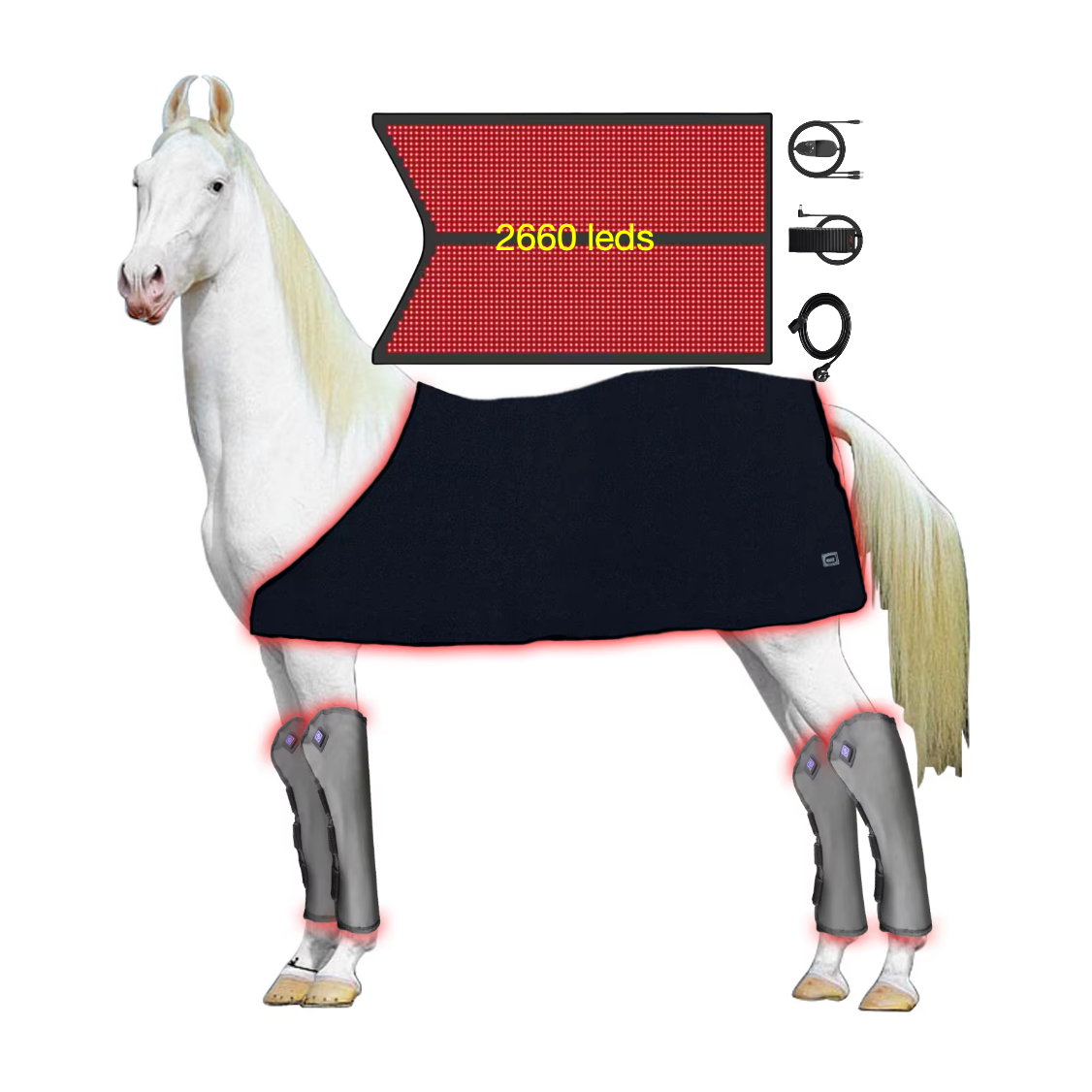 AQSHE Red Light Therapy Equine Horse Infrared Cordless Boots Bell Blanket Panel Solarium Wrap Head Hoof Stifle Full Body Devices