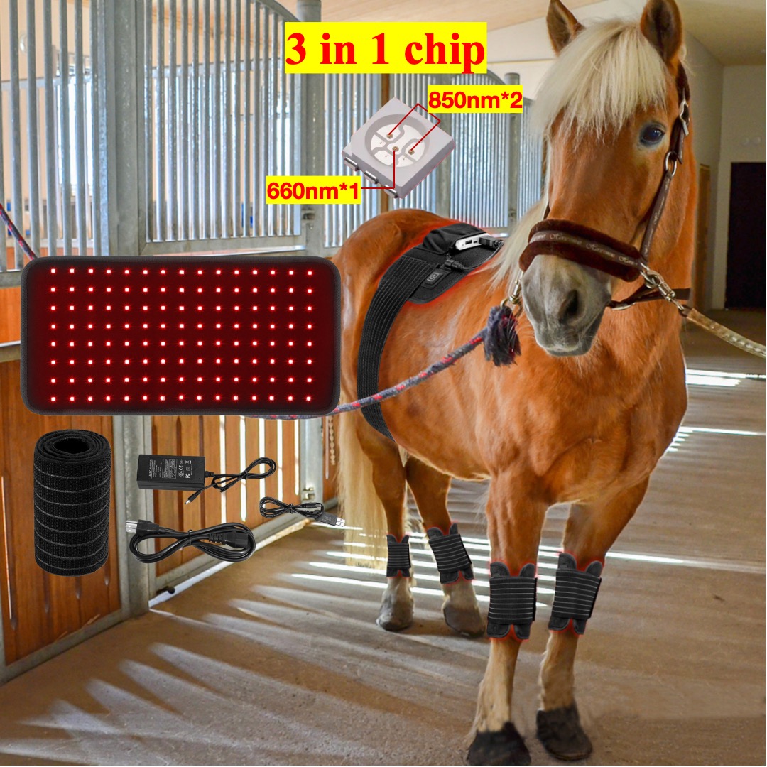AQSHE 120 Pcs Leds Equine Horse 660nm Red Light 850nm Infrared Light Animal Leg Horse Light Belt for Pain Relief and Skin Care
