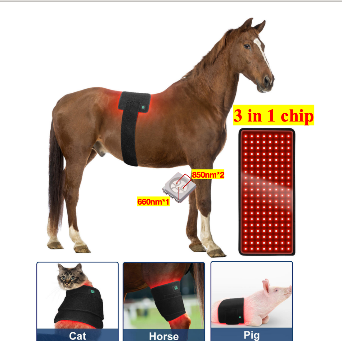 AQSHE 160 Pcs Leds OEM/ODM Wrap Belt Pain Relief Infrared Physical Therapy Horse Pad Private Label Home Use Wearable Red Light AQSHE 160 Pcs Leds OEM/ODM Wrap Belt Pain Relief Infrared Physical Therapy Horse Pad Private Label Home Use Wearable Red Light