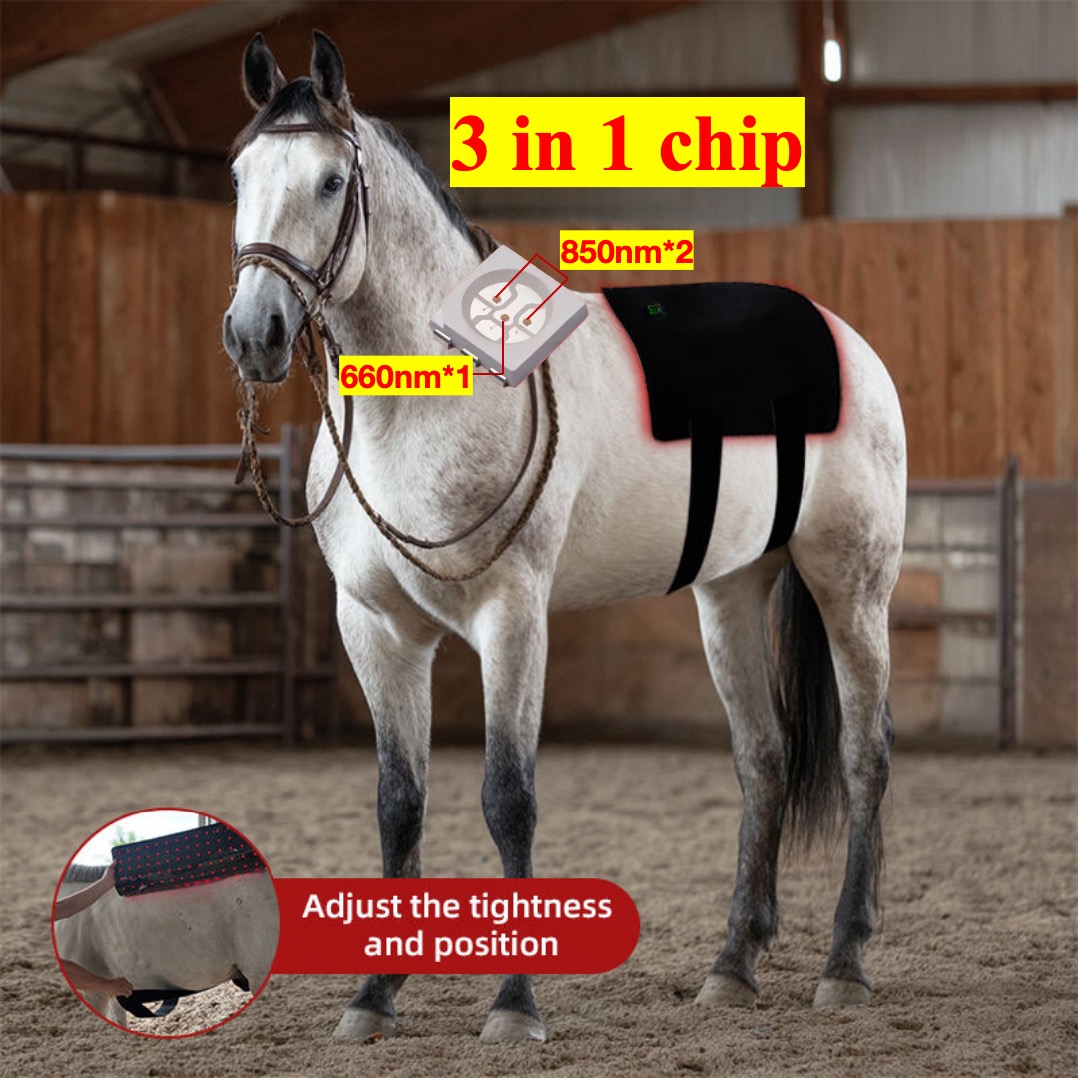 AQSHE 280PCS Leds Equine Horse 660nm 850nm Horse Neck Red Light Therapy Near Infrared Belt Blanket Equine Treatment Device