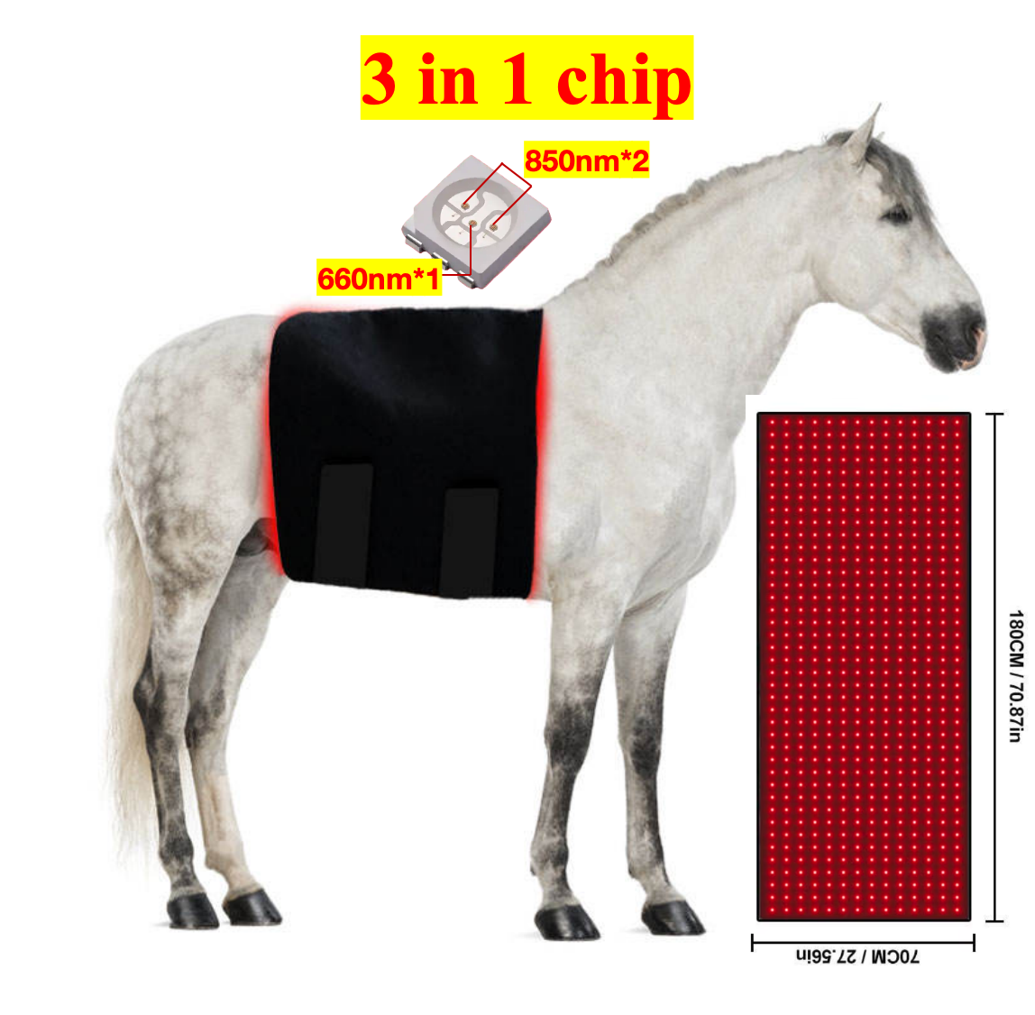AQSHE 560 Pcs Equine Horse Leds Red Light Infrared Therapy Dog Led Therapy Veterinary Physiotherapy Equipment Light Therapy Pet AQSHE 560 Pcs Equine Horse Leds Red Light Infrared Therapy Dog Led Therapy Veterinary Physiotherapy Equipment Light Therapy Pet