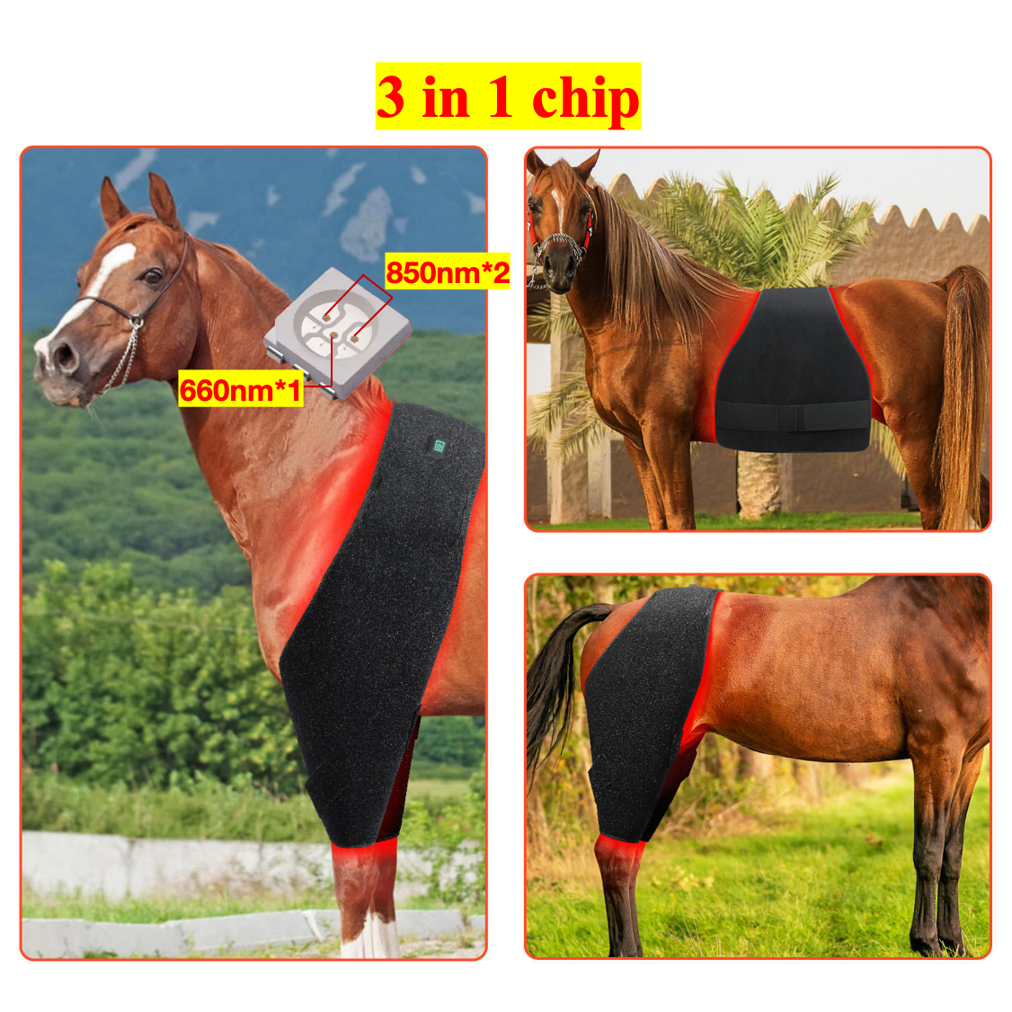 AQSHE 320 Pcs Leds Horse Belly Infrared&Red Light Therapy 660nm 850nm Equine Animal Light Blanket Wrap Belt Horse Care Product