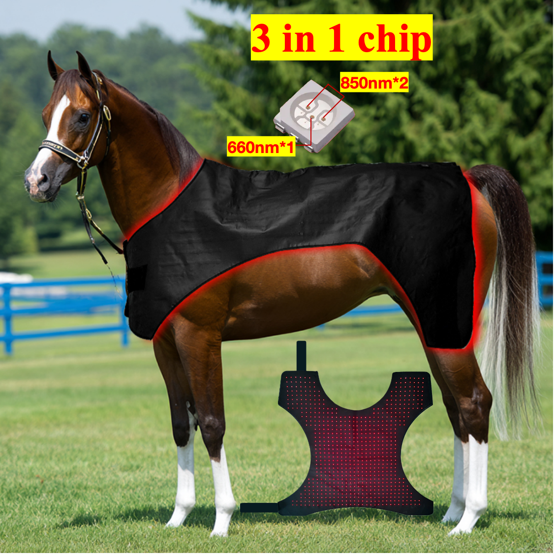 AQSHE 688 Pcs Leds Wearable Pet Horses Equine Equipment 660nm 850nm Led  Red Light Near Infrared Pet Therapy for Horse Blanket