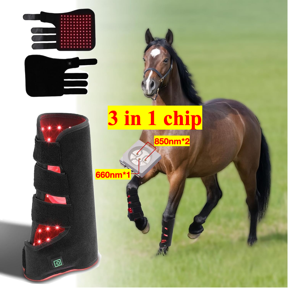 AQSHE 110 Pcs Leds Horse Leg Health and Devices 660nm 850nm Infrared Red Light Therapy Belt for Pain Relief in Feet Target Area AQSHE 110 Pcs Leds Horse Leg Health and Devices 660nm 850nm Infrared Red Light Therapy Belt for Pain Relief in Feet Target Area