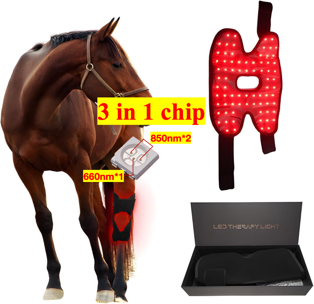 AQSHE 72 Pcs Leds High Quality Battery Support Body Care Horse Red Light Therapy Knee Led Red Equipment for Horse Knee Equine AQSHE 72 Pcs Leds High Quality Battery Support Body Care Horse Red Light Therapy Knee Led Red Equipment for Horse Knee Equine