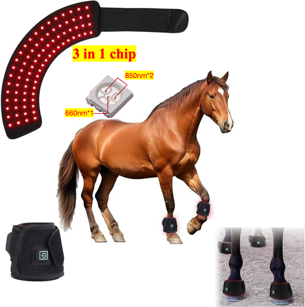 AQSHE 80 Pcs Leds Red Light Therapy Instrument for Horse Hoof Knee Hock Pasture Area Treatment Instrument for Racing Horse Cure