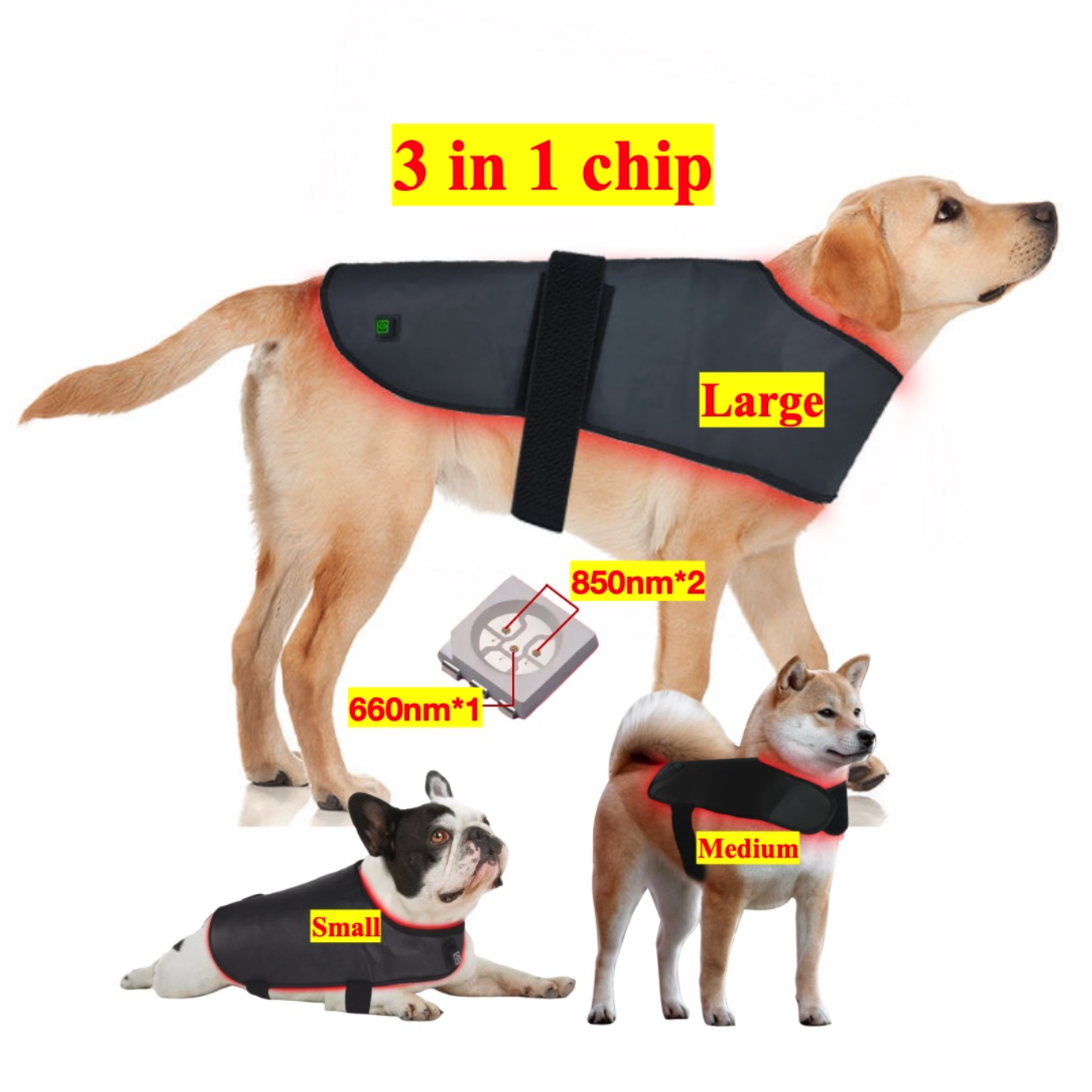 AQSHE Pet Dog Back Large 272 pcs Hot Selling 660nm 850nm Led Red Light Near Infrared Pet Therapy Pad Machine for Pets Dog Wraps