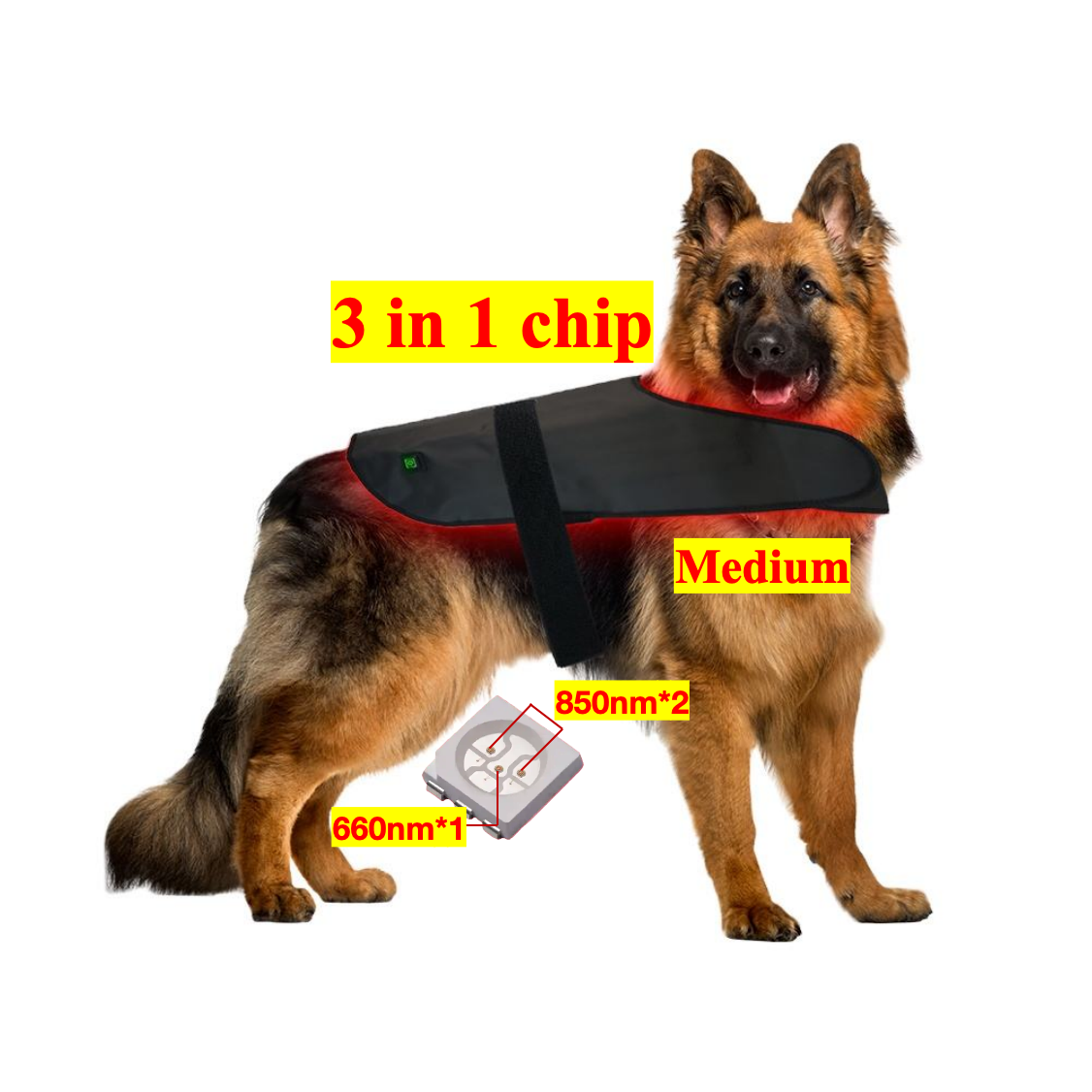 AQSHE Pet Dog Back 160pcs Belly Small Medium Large Red Light Back Pet Therapy 660nm 850nm Collar  Pets Wrap Vest Therapy Blanket