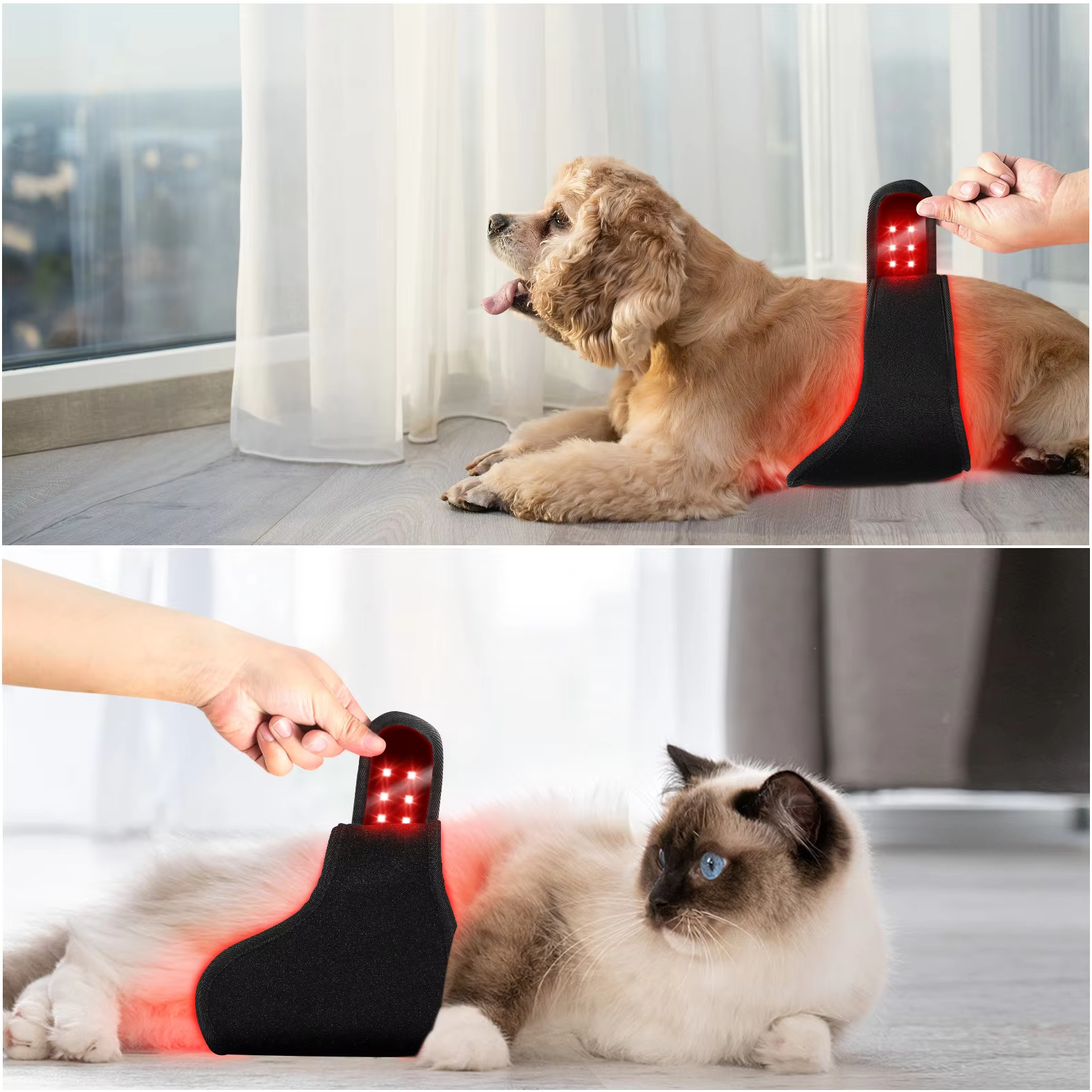 AQSHE Pet Cat Dog Belly New Pet Therapy Home Use Dog Red Light Infrared Pain Therapy 660nm 850nm Mat for Leg Pets