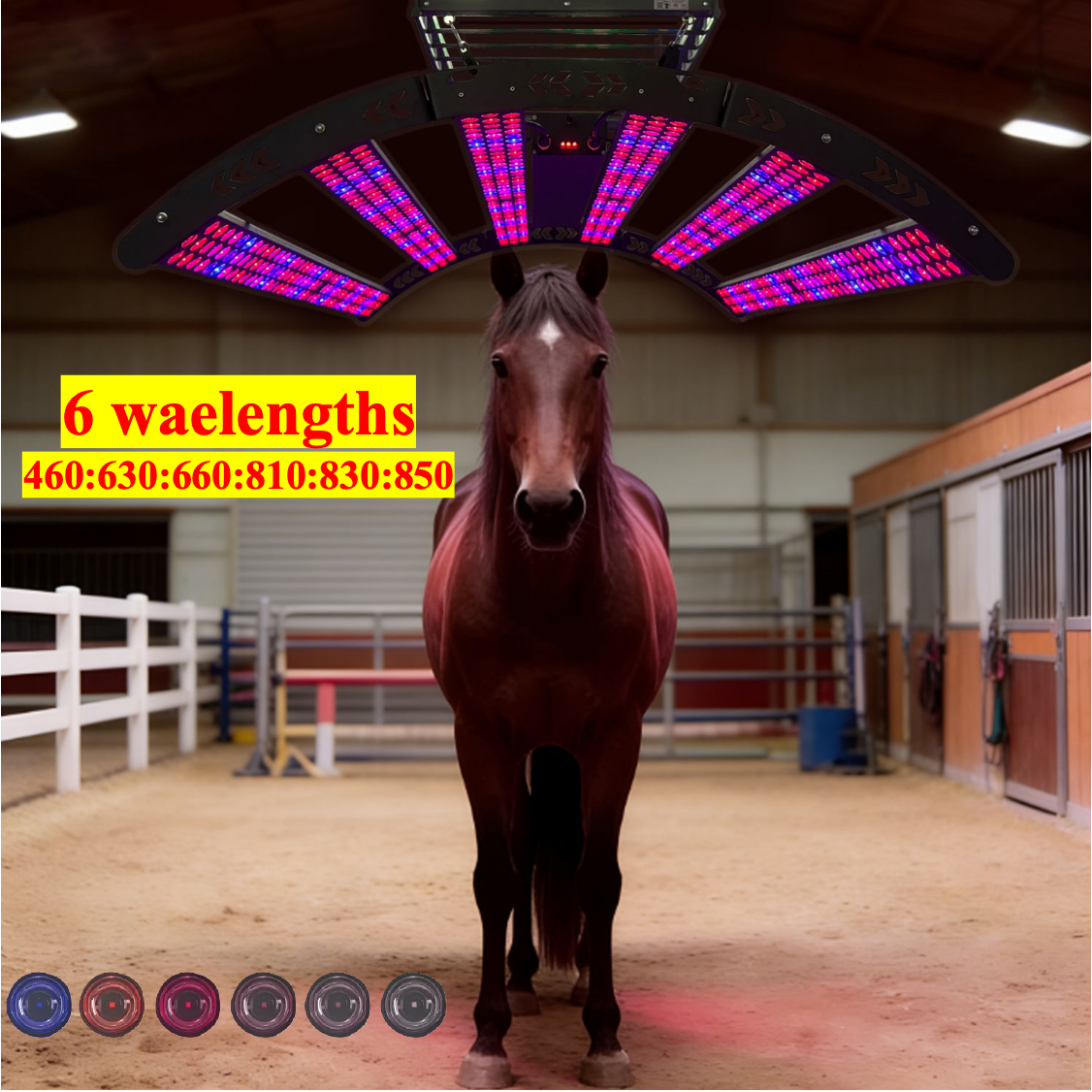 AQSHE 552 Pcs Leds Solarium Equine Horse Full Body 6 Wavelength Near Infrared Red Light Led Therapy  Solarium Pony Bar 1.8M