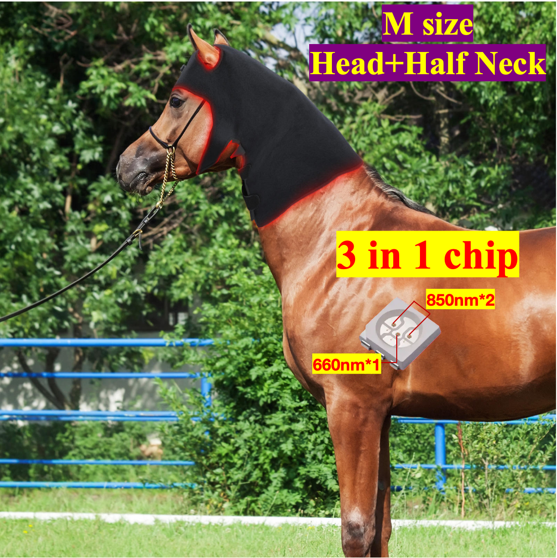 AQSHE 228 Pcs Leds Equine Horse Red Light Therapy Cap Neck Head 660nm 850nm Led Horse Equine Red Light Therapy for Pets Horse