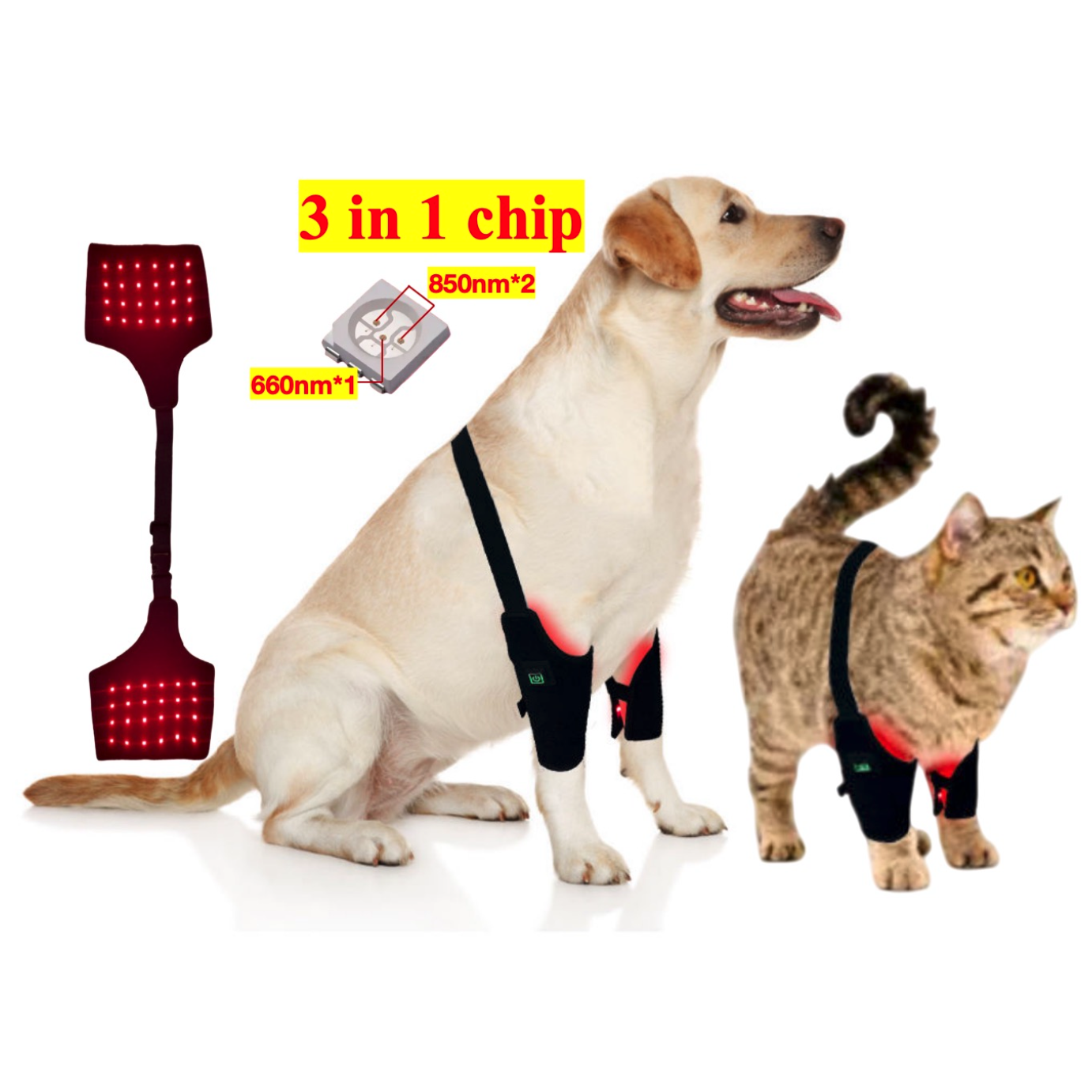 AQSHE Dog Cat Leg 40 Pcs Original Factory 660nm PU Waterpoof 850nm Infrared Red Light Therapy for Dog and Horses Pet Therapy